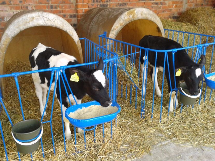 Fotografie0128 - 20---expozitie banatagralim 27 05 2017