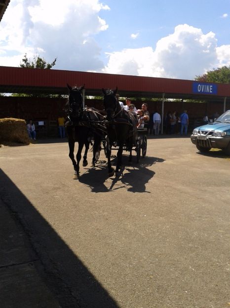 Fotografie0133 - 20---expozitie banatagralim 27 05 2017