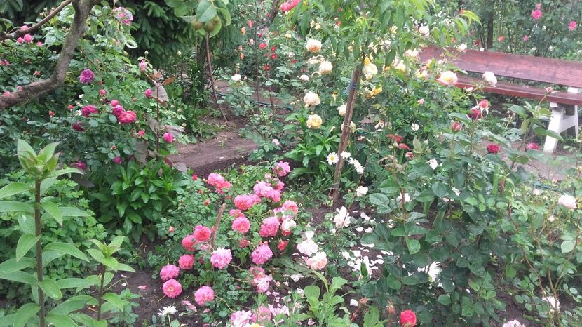  - Christopher Marlowe