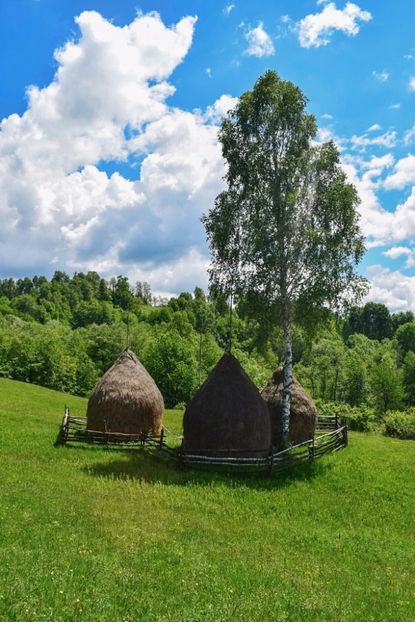  - Photo 07 - Mai 2017