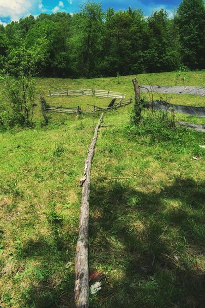  - Photo 07 - Mai 2017