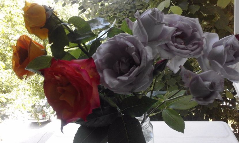  - Continuare la albumul Flori 2017