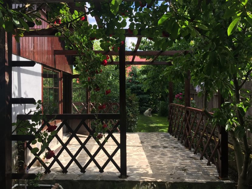 27.05.2017 - Proiect nou 2017 COLIVIA ANDRUTEI