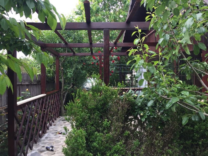 27.05.2017 - Proiect nou 2017 COLIVIA ANDRUTEI