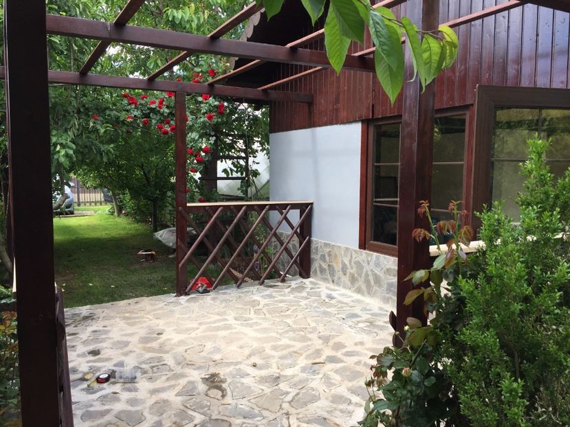 27.05.2017 - Proiect nou 2017 COLIVIA ANDRUTEI