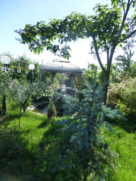 P1100191 - 01 Gradina