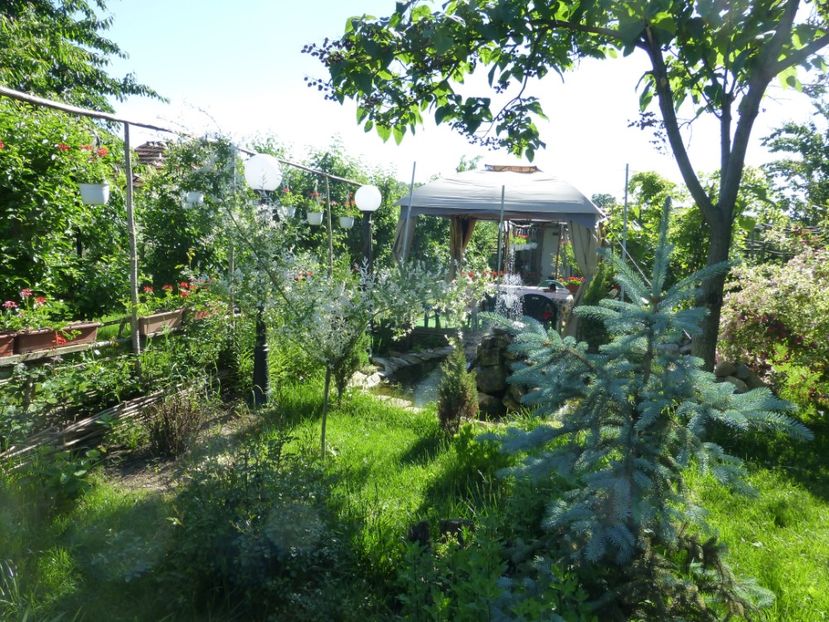 P1100192 - 01 Gradina