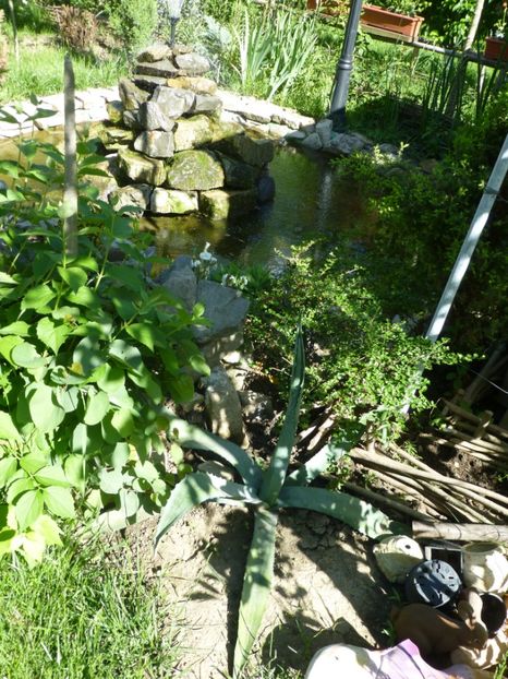 P1100210 - 01 Gradina