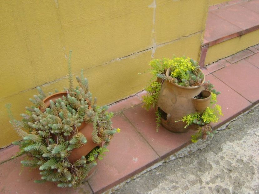 Forme si culori la sfarsit de mai - Primavara 2017 bis