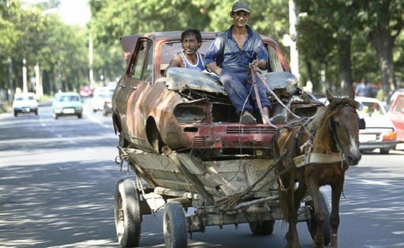 habar n-ai ce-o să iasă din caroseria asta ruginită!! - NATURA ȘI SURPRIZELE EI