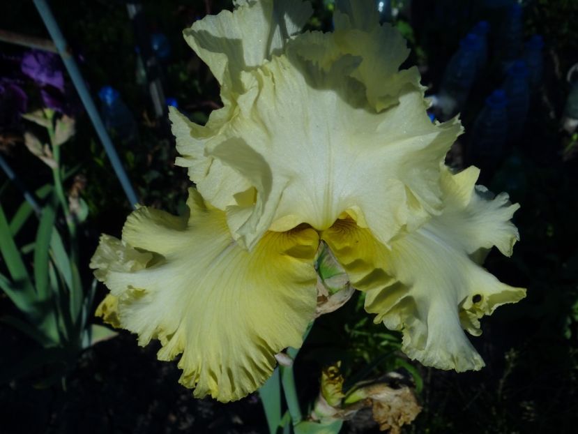 Dream Team - Bye-Bye Primavara