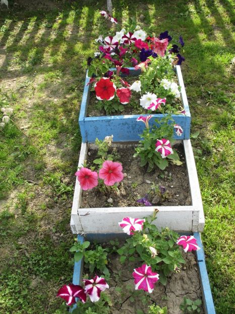  - bijuterii in gradina