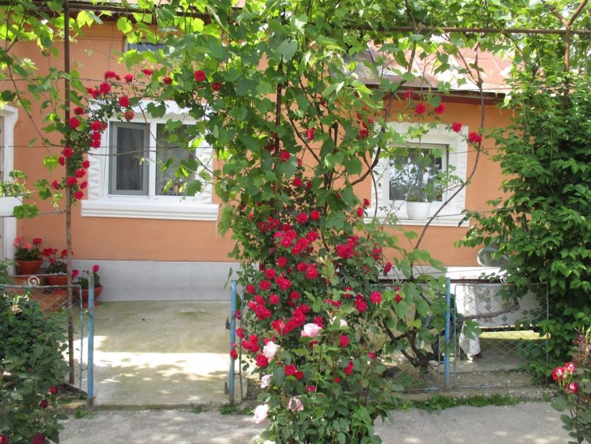  - bijuterii in gradina