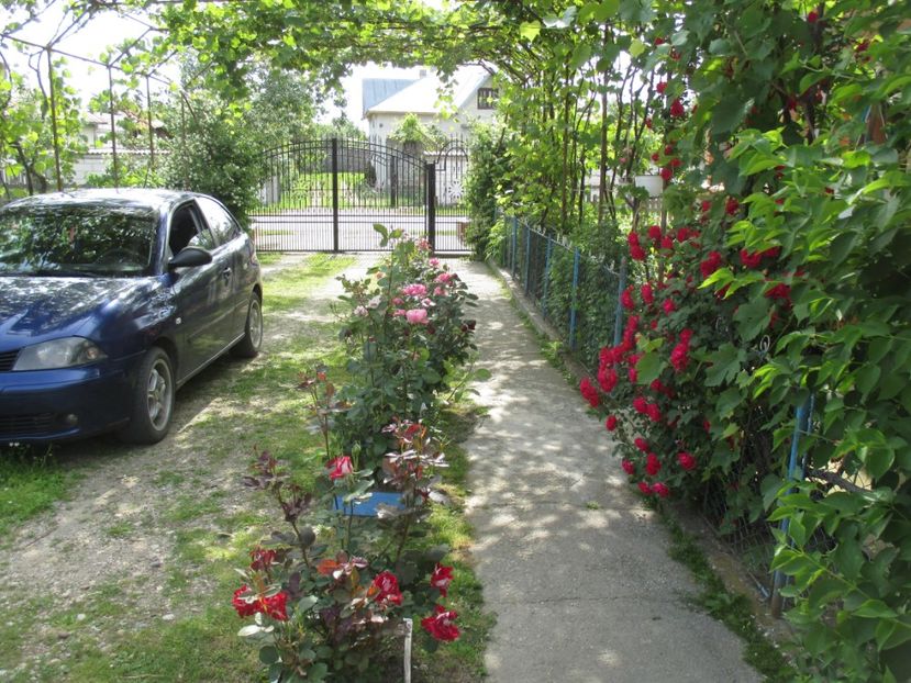 - bijuterii in gradina