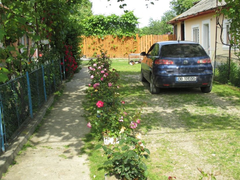  - bijuterii in gradina