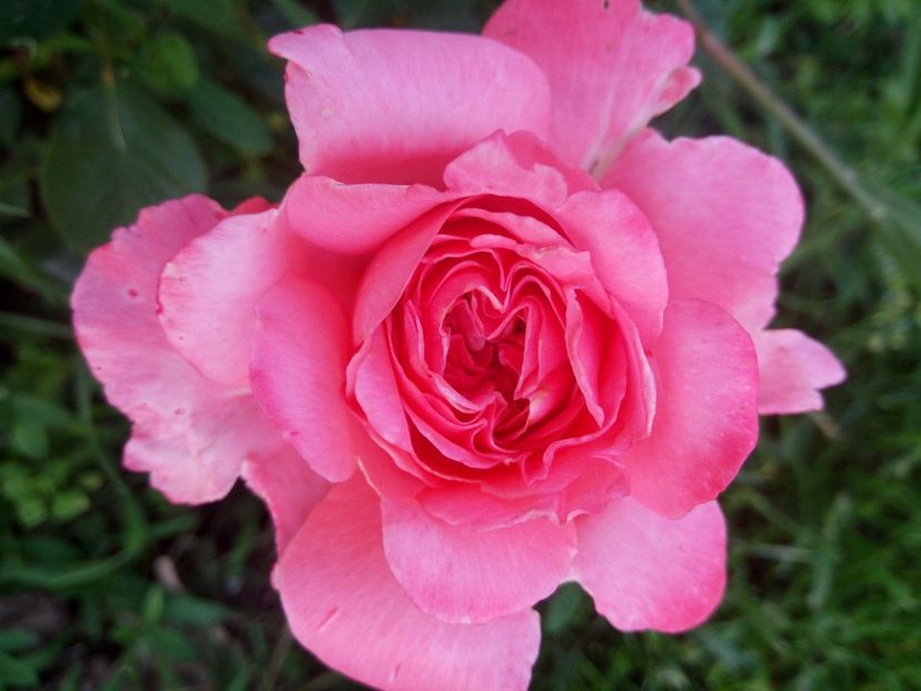 F1- ziua 1 - Laurent Cabrol