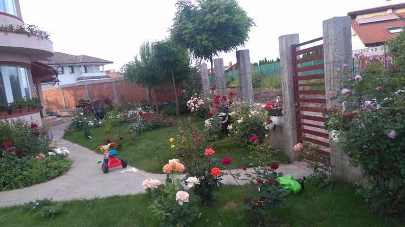  - Gradina mai 2017