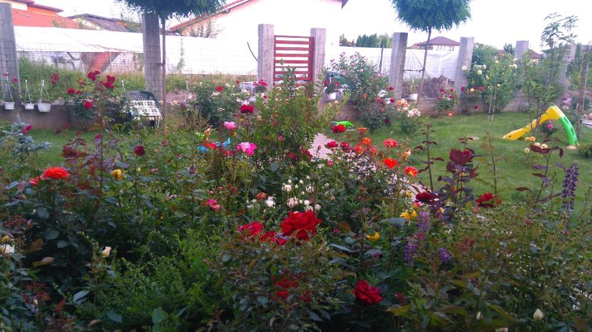  - Gradina mai 2017