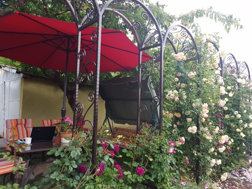  - crown princess margareta