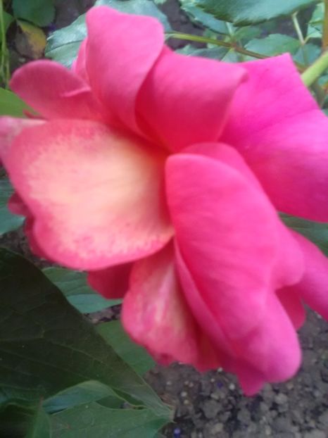  - Christopher Marlowe