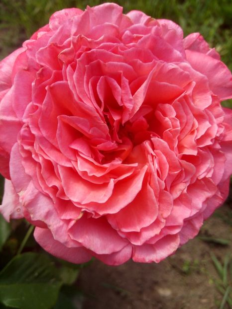 F1- ziua 3 - Laurent Cabrol