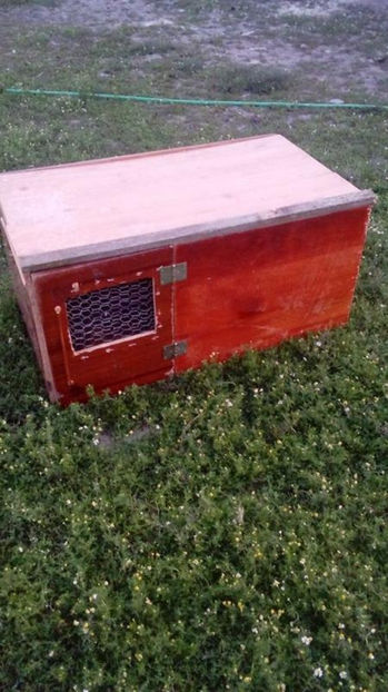 Adapost improvizat dintr-un dulap pentru gainile pitice!! - Un nou adapost