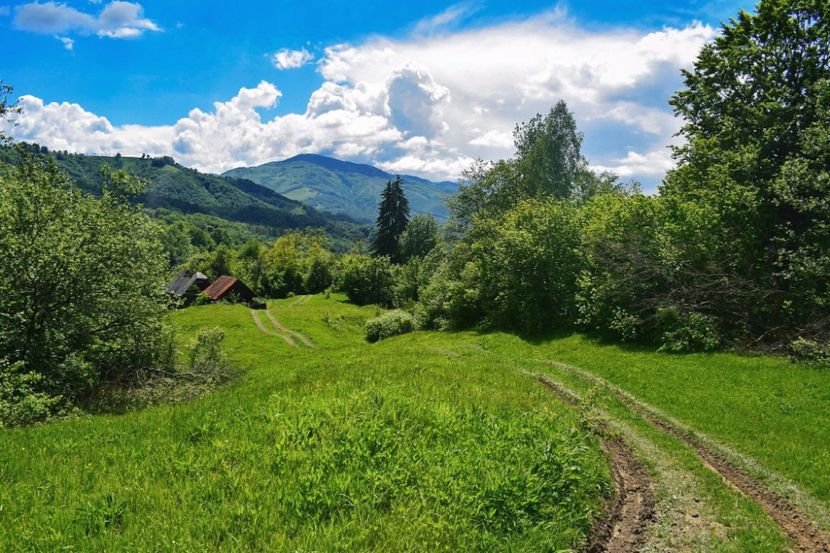  - Photo 07 - Mai 2017