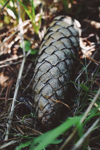  - Photo 07 - Mai 2017