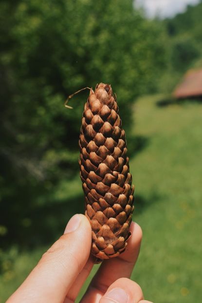  - Photo 07 - Mai 2017