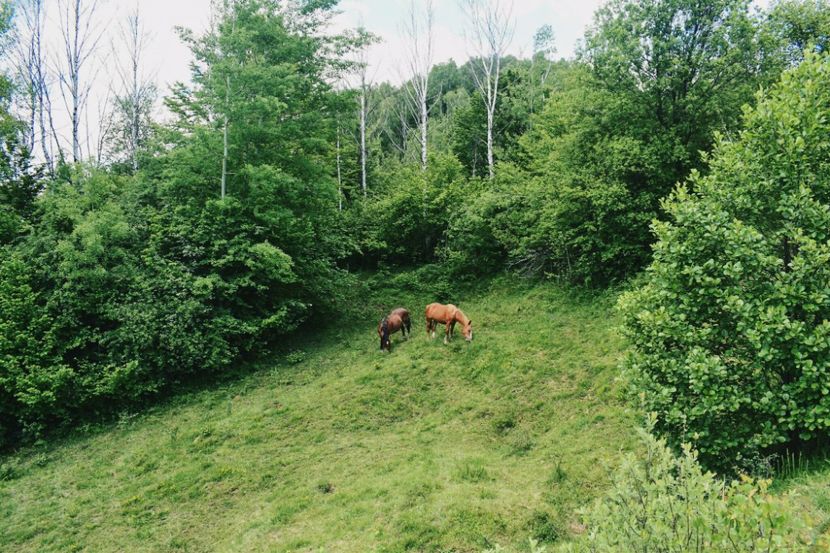  - Photo 07 - Mai 2017