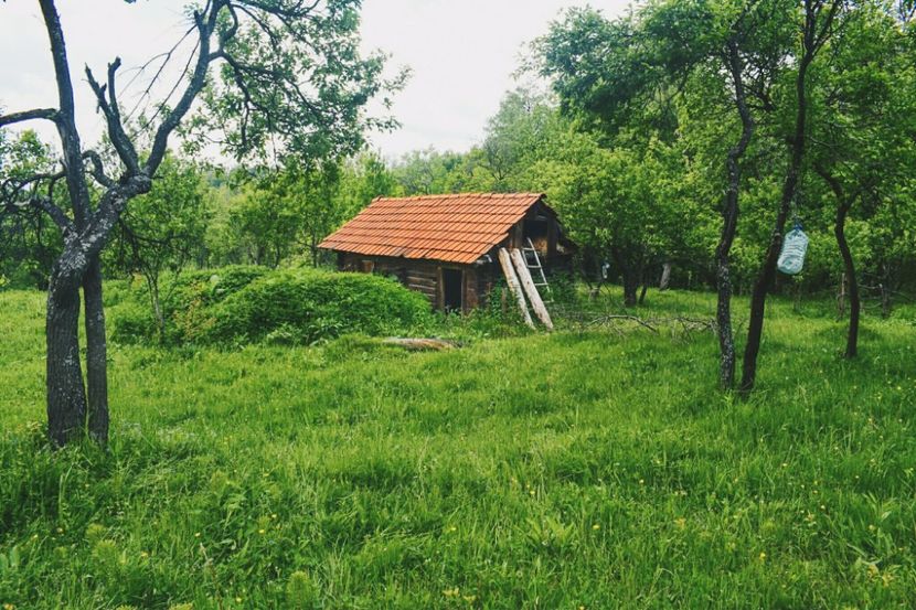  - Photo 07 - Mai 2017