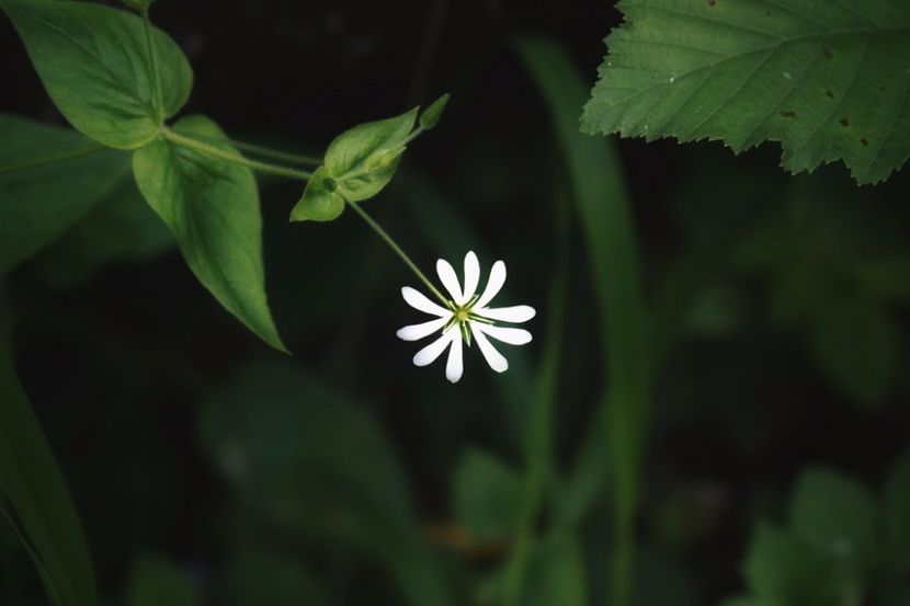  - Photo 07 - Mai 2017