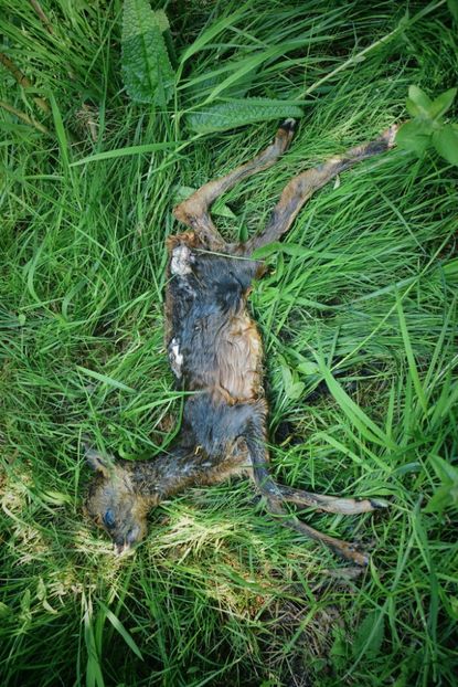  - Photo 07 - Mai 2017