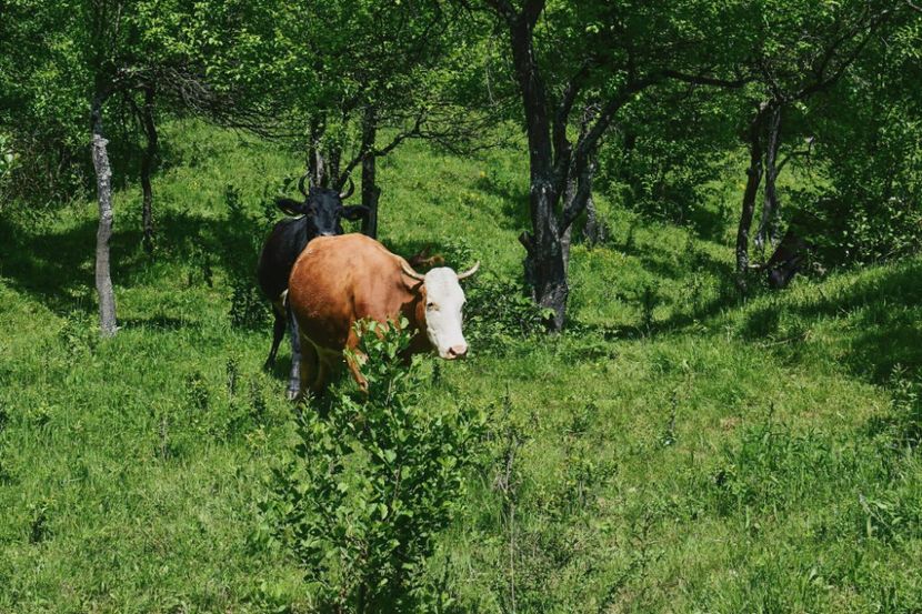  - Photo 07 - Mai 2017