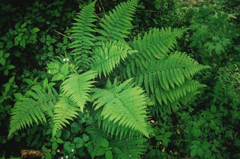  - Photo 07 - Mai 2017