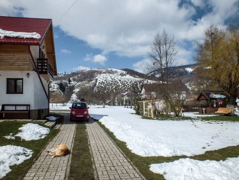  - Iarna la Moieciu 2015