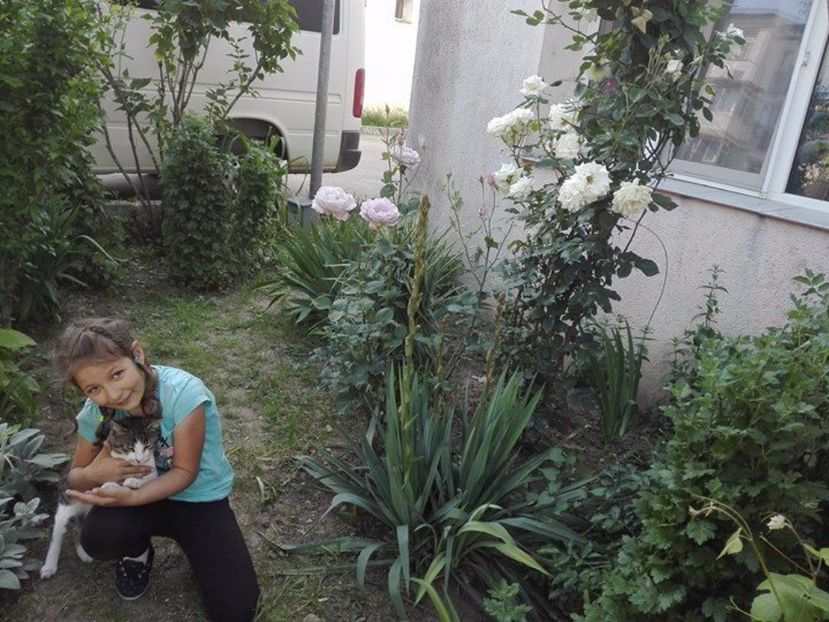  - pentru cine zambesc eu