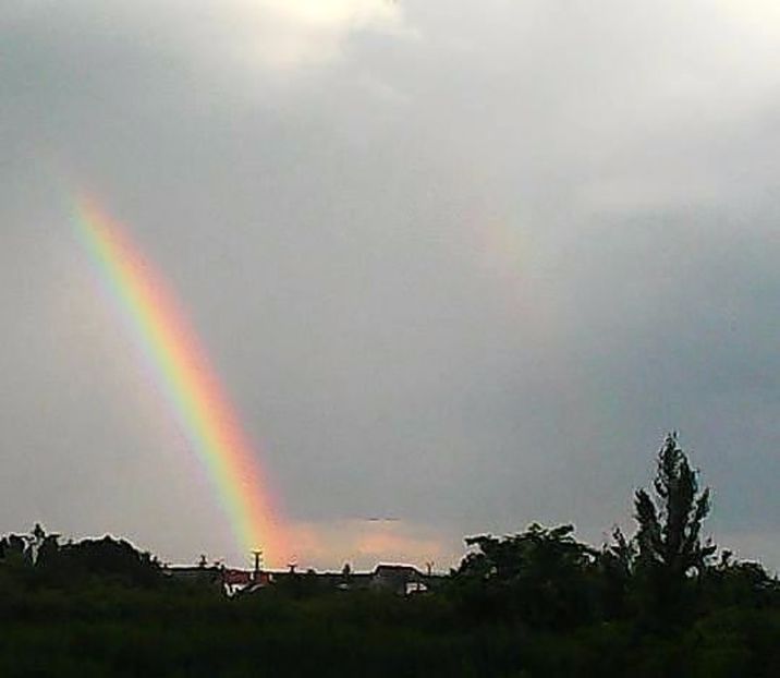 e52vl245crq - Dansul norilor