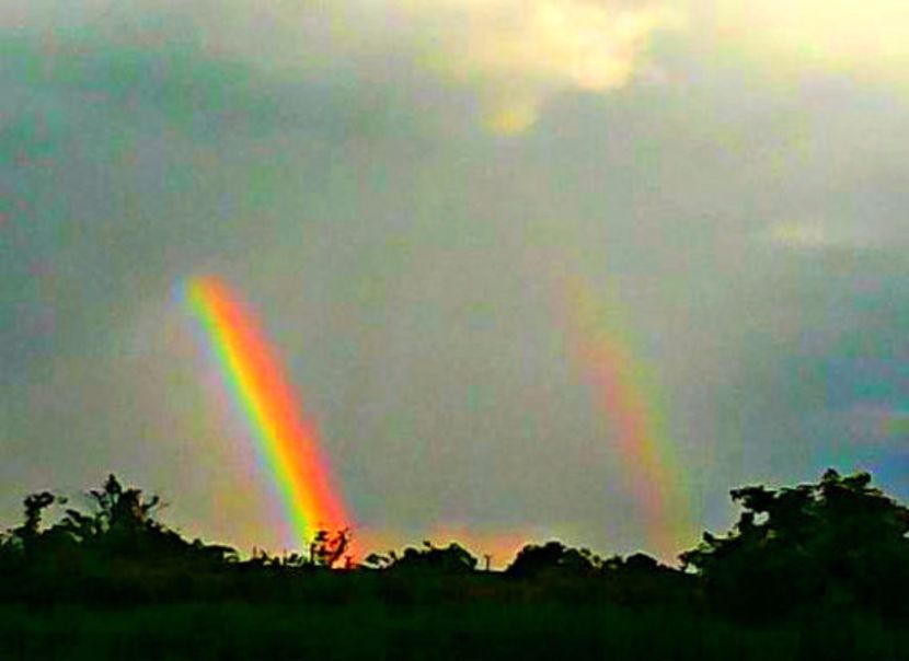 oie_27222751RQFzxOAr - Dansul norilor