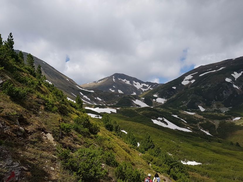 Vf Ineu 2279m - Frumuseti in M-tii Rodnei 2017