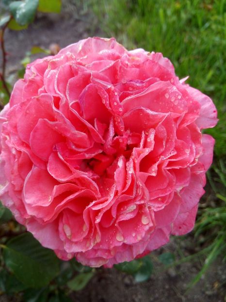 F1-ziua 5 - Laurent Cabrol