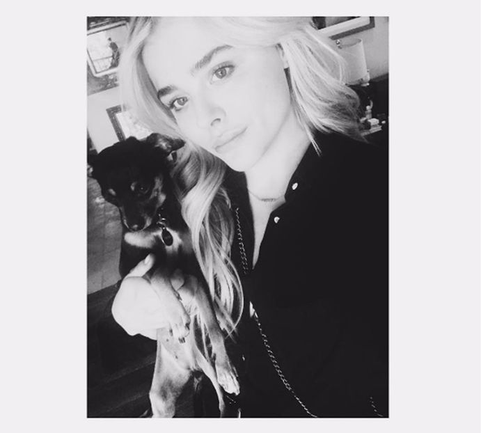 Karina got Chloe&Pearl - i see it i like it i want it i got it