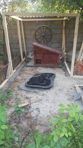 voliera in derulare...inaintam - VOLIERE