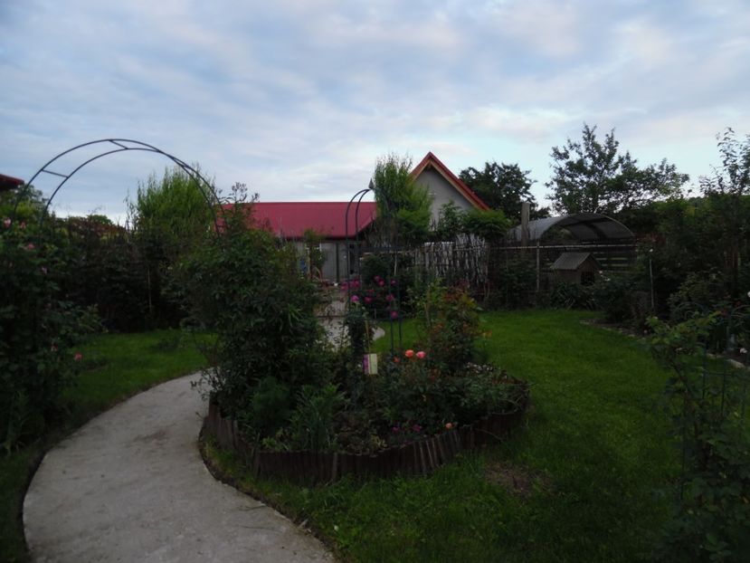  - 000 Flori si trandafiri 2017