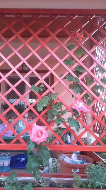  - Dee dee Bridgewater