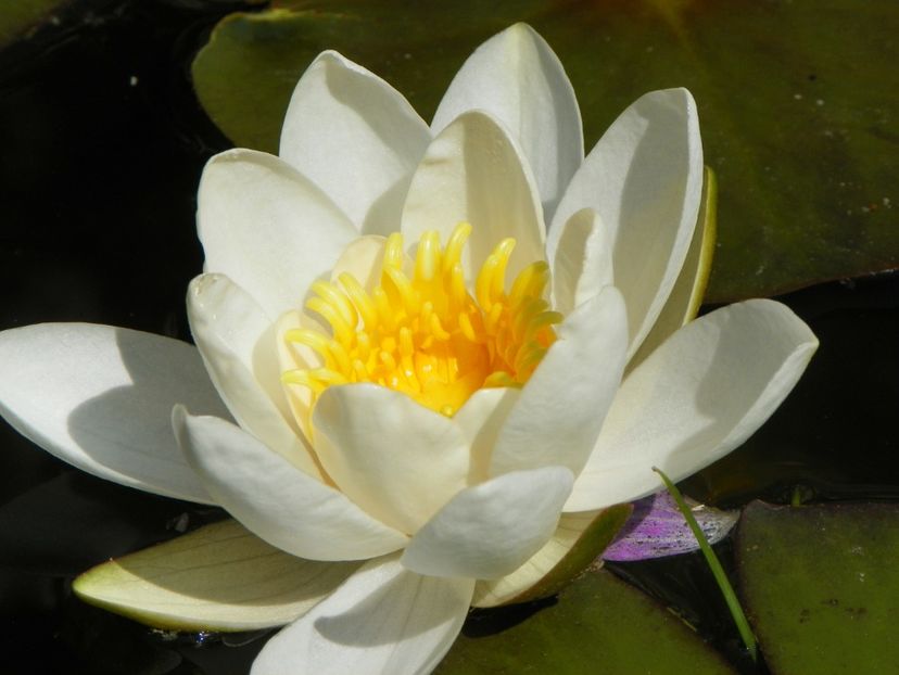 3 iun (120) - Vara 2017