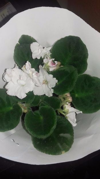 necunoscut 3 - 000 ajutor identificare