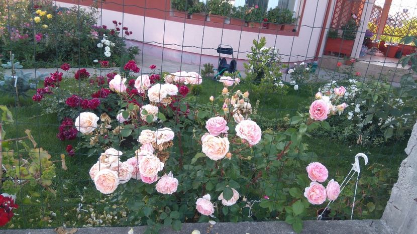  - Abraham Darby