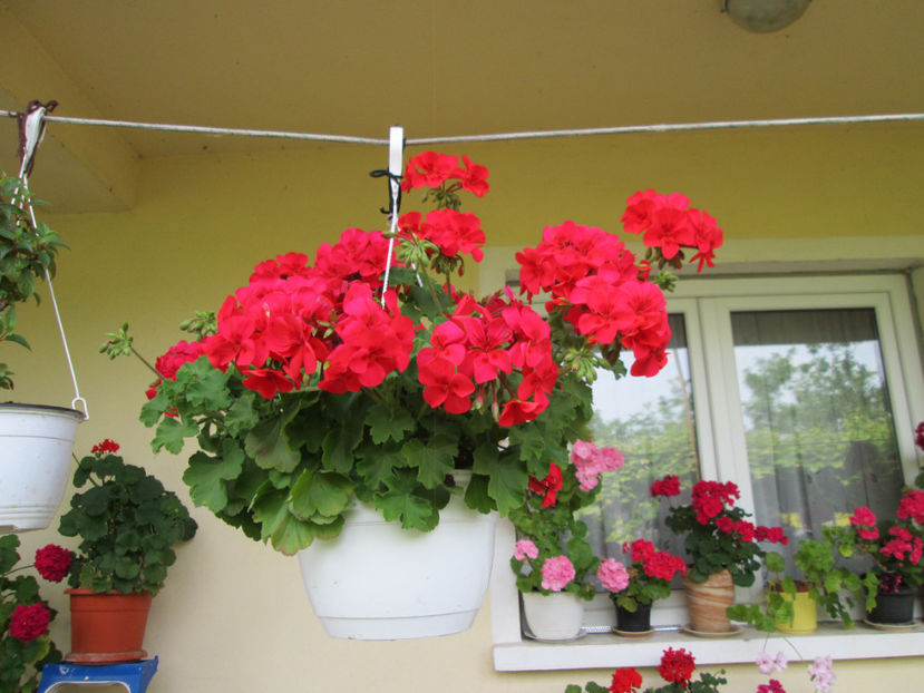  - Frumuseti la casa parinteasca