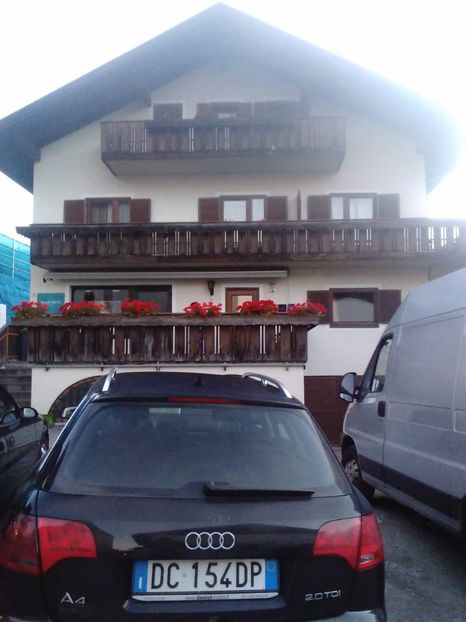  - ratusca mandarina  de vanzare